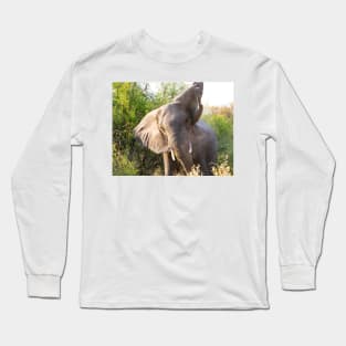 African Bull Elephant in Okavango Delta in Botswana Long Sleeve T-Shirt